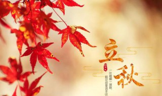 立秋代表什么意思 立秋的含义