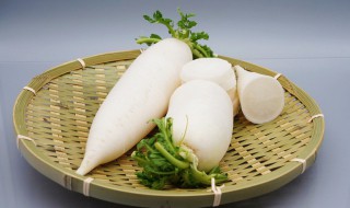 白萝卜腌制方法和配料 白萝卜腌制制作方法和配料