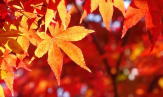 立秋幼儿注意事项 立秋幼儿注意什么