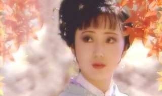 红楼梦作品简介 红楼梦作品简介是什么