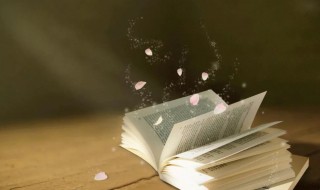 作家马亚伟简介 马亚伟简介