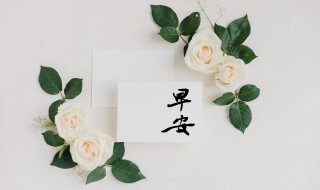 早安文案最暖心短句 关于早安文案最暖心短句