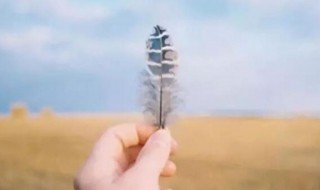 简单做人大度的句子 关于简单做人大度的句子