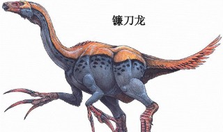 恐龙有哪些种类介绍 恐龙的种类都有什么