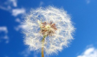 句子大全 优美句子大全