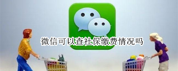 微信可以查社保缴费情况吗（用微信可以查社保缴费情况吗）