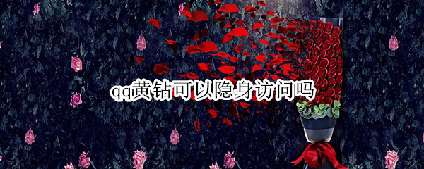 qq黄钻可以隐身访问吗(qq黄钻可以隐身访问吗有什么用)