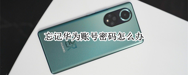 忘记华为账号密码怎么办 手机忘记华为账号密码怎么办