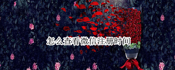 怎么查看微信注册时间（怎么查看微信注册时间查不了）