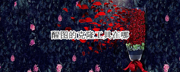 醒图的克隆工具在哪 醒图里的克隆在哪里