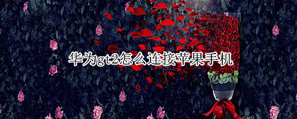 华为gt2怎么连接苹果手机(华为gt2怎么连接苹果手机下载音乐)