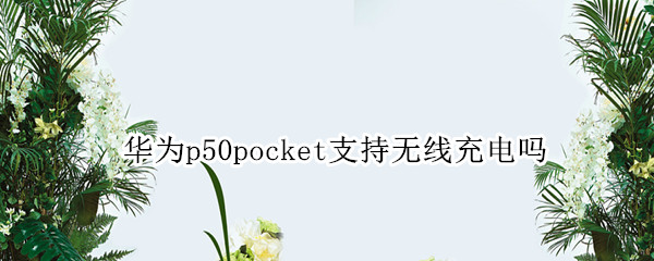 华为p50pocket支持无线充电吗（华为p50能无线充电吗）