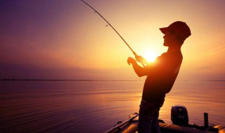 钓草鱼离底多少最好 小技巧教你轻松钓草鱼