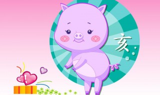 83年的猪2019年运势 2019年运势大盘点快点来看