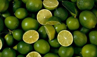 柠檬种子几月种 柠檬最佳种植季节是什么时候