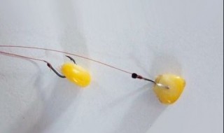 如何炮制玉米钓草鱼 如何用玉米钓草鱼