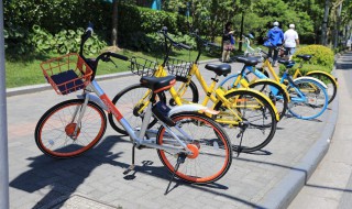 哈罗共享单车包月怎么办理 这么做超级划算的呦