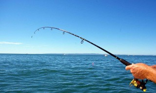 花白鲢自配饵料 可以这样做