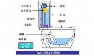 马桶水箱结构 抽水马桶水箱结构