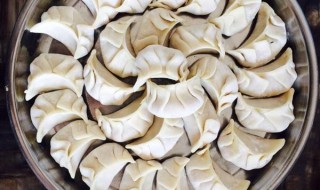 香茹饺子馅的做法 你都学会啦吗