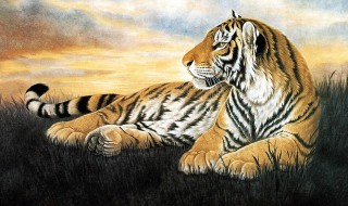 62年属虎人2019年运势 62年属虎今年的运势如何