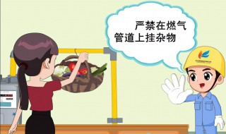 河南省燃气初装费规定 请看规定