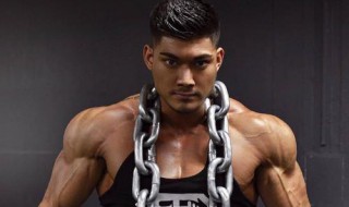 练肩动作大全 如何练肩的四个经典王牌动作