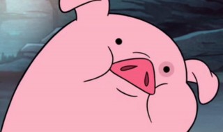 珠圆玉润是什么生肖 这个很好猜