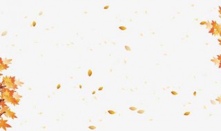 秋风不懂落叶的愁原唱 你都了解吗