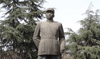 杨虎城后代 杨虎城将军有多少后代?