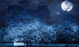 描写夜晚的句子 快收藏起来吧