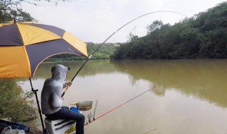 钓青鱼用多大的漂 一看你就会了