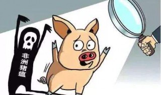 非洲猪瘟多久能复养 要怎么做好
