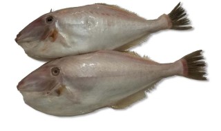 迪仔鱼做法 分享辣味迪仔鱼的做法