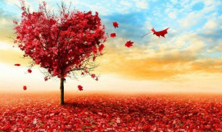 心情愉快的句子 让你满血复活!