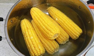 玉米冻生的还是熟的好 这是正确的做法