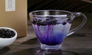 黑枸杞茶家常做法 养生茶