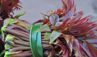 什么病不能吃香椿 糖尿病患者要注意