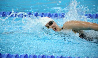 自由泳六次腿怎么打 往下看就知道了