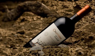 红酒多久会过期 往下看就知道了