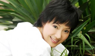 对着蓝天许个心愿是什么歌曲 大家一起来听听