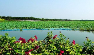 天津东丽湖在哪 东丽湖简介