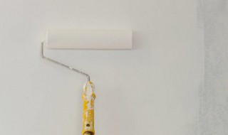 白水泥和腻子粉哪个好 室内刮白用白水泥好还是用腻子粉好