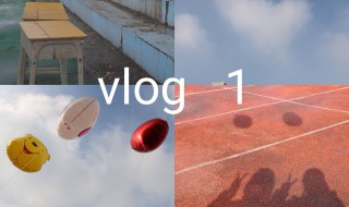 vlog领域垂直范围 忽悠了多少人