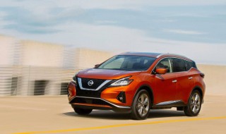 楼兰2020款价格 来看看海外版价格吧