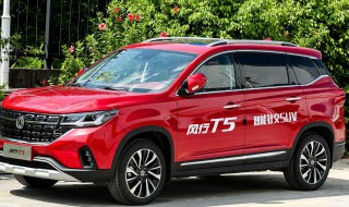 风行t5的落地价格 看看是不是你心仪的价格