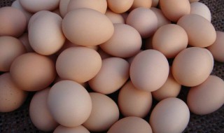 红心鸡蛋是怎么回事 居然是饲料在搞鬼