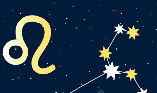 狮子座一生的最佳配偶 狮子座的最佳配偶是哪个星座的