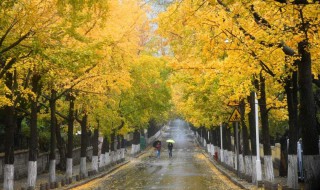 秋雨的特点 快来看看