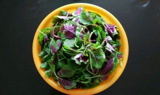 炒苋菜要焯水吗 加上这一步苋菜翠绿又健康